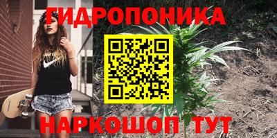 амф Ипатово