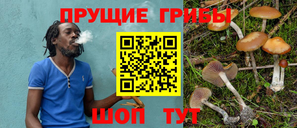 Галлюциногенные грибы Psilocybe  Вход с VPN  Псилоцибиновые грибы Cubensis  Тобольск 