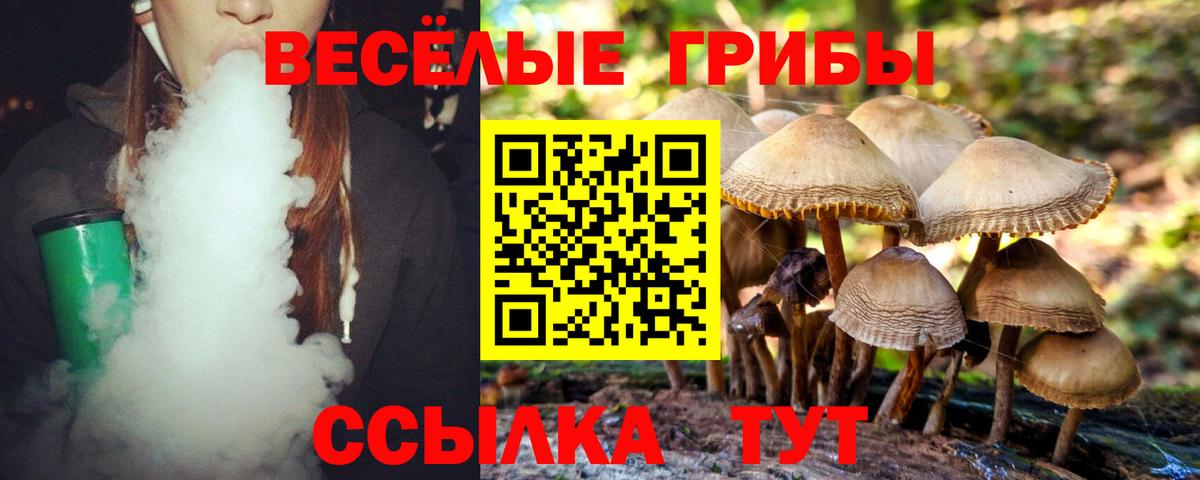 Галлюциногенные грибы прущие грибы Тобольск